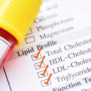 Perfil Lipídico a Domicilio