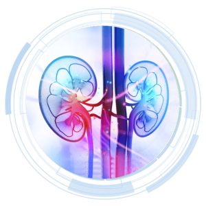 Urología